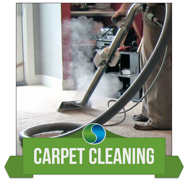 ecogreen carpet cleaning steam image
