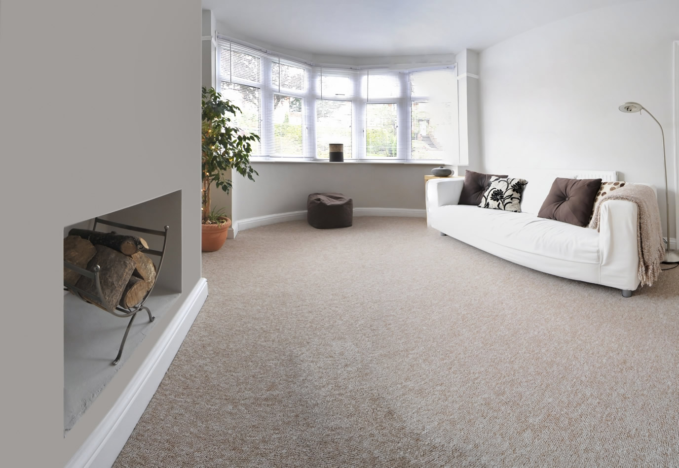 living room with clean carpet image