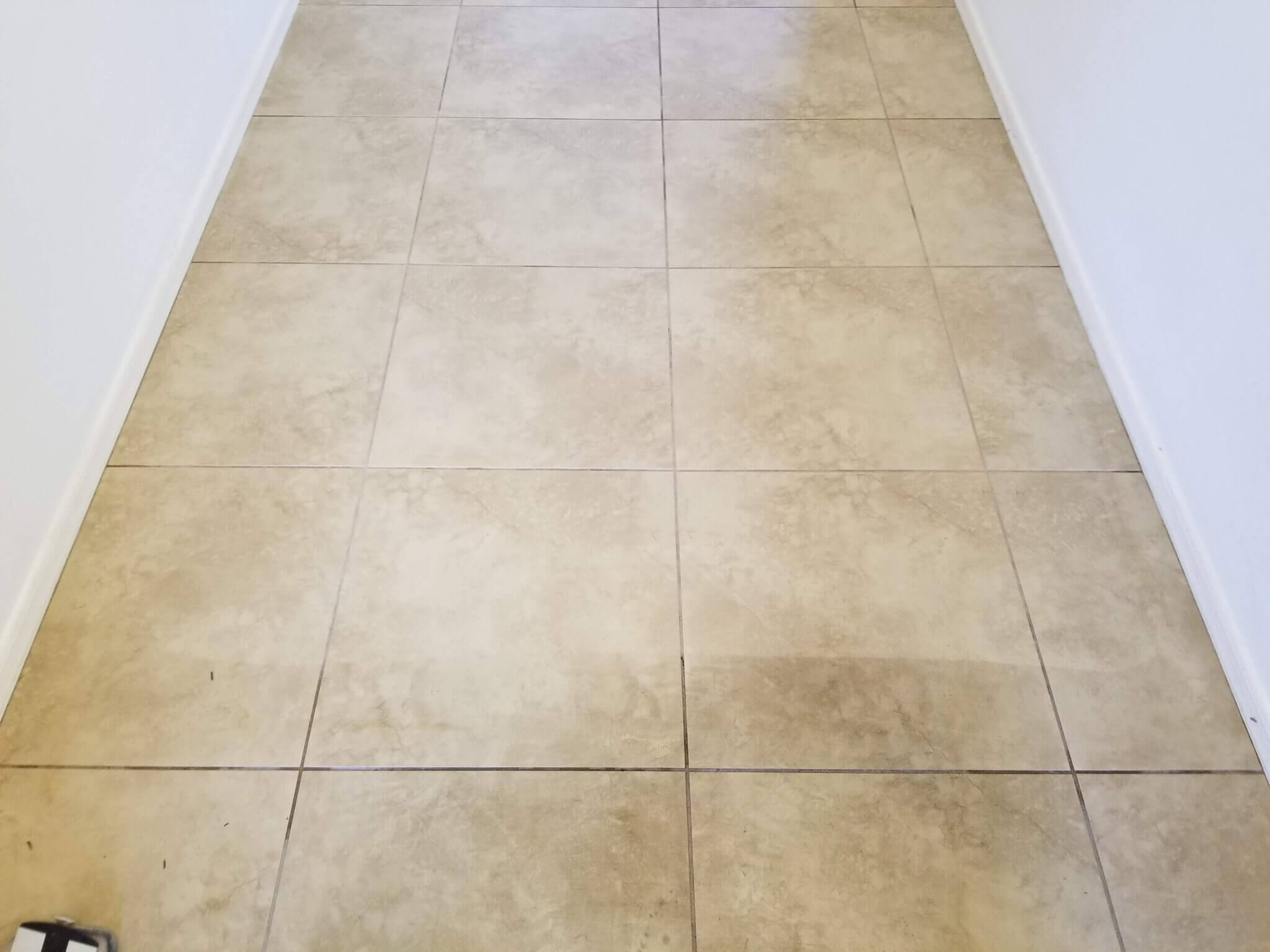 EcoGreen Carpet, Tile and Upholstery Care