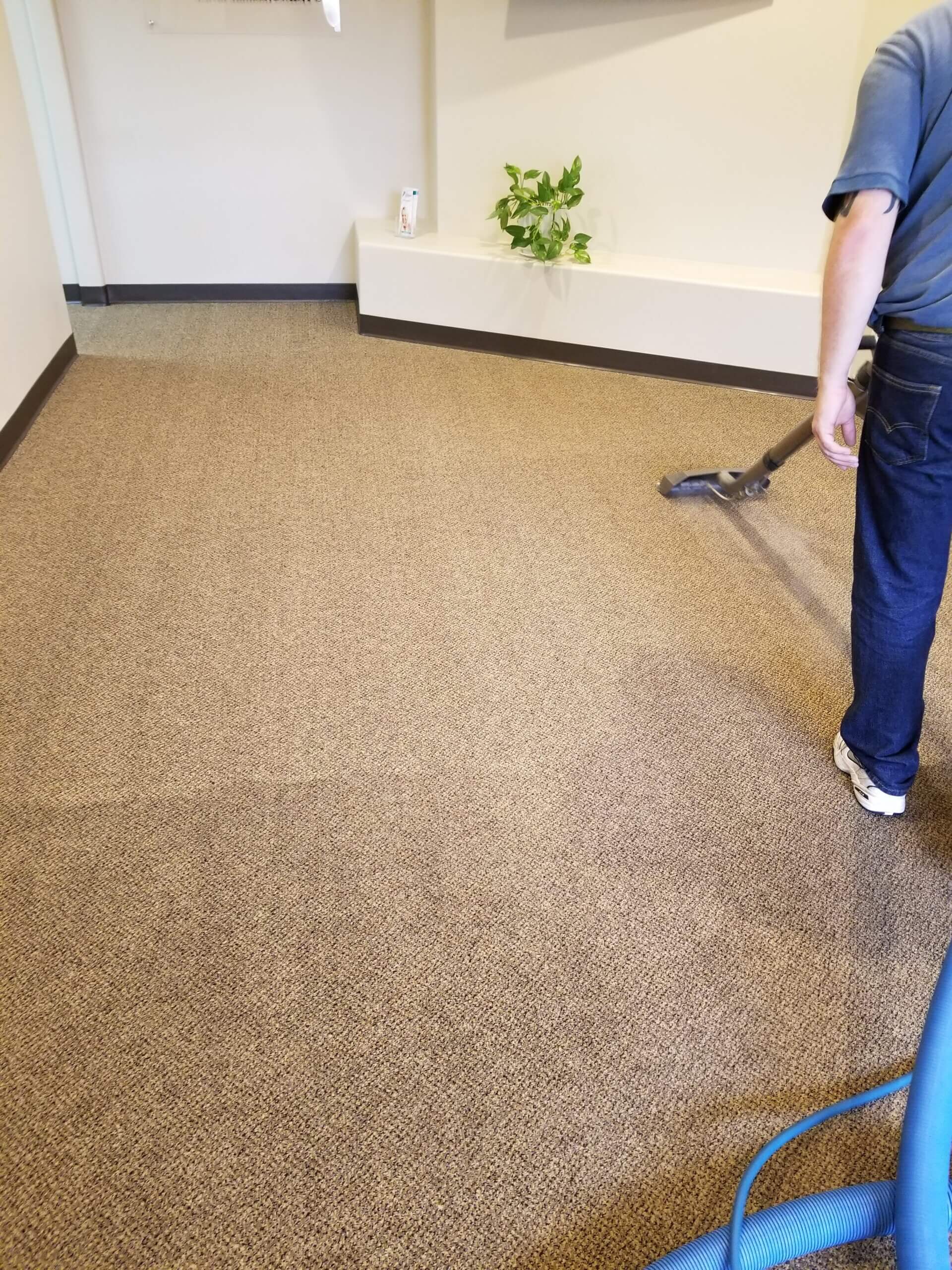 EcoGreen Carpet, Tile and Upholstery Care